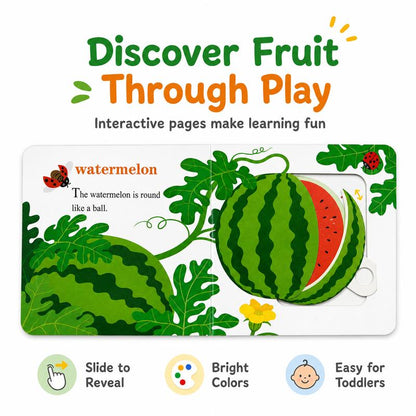 Interactive Lift The Flap Board Book Set for Early Learning
